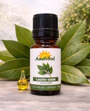 LAURIER NOBLE – HUILE ESSENTIELLE 100 % PURE