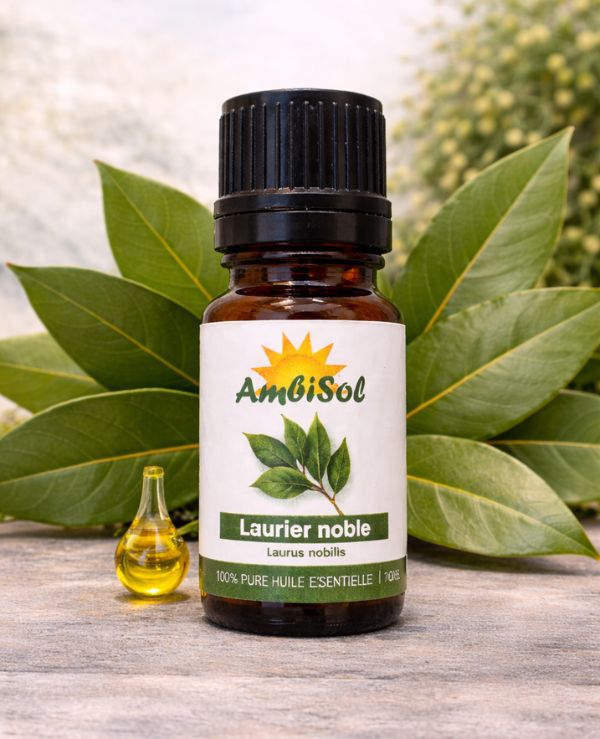 Laurier Noble – Huile Essentielle 100% Pure (10ml) | Respiration, Voix & Confiance | Ambisol