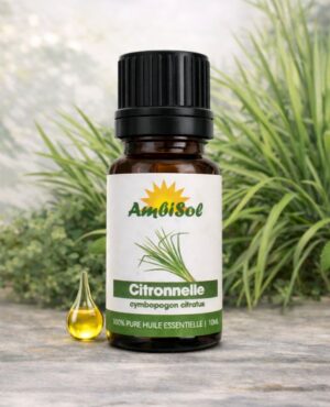 Citronnelle – Huile Essentielle 100% Pure (10ml) | Anti-moustique, Purifiante & Relaxante | Ambisol