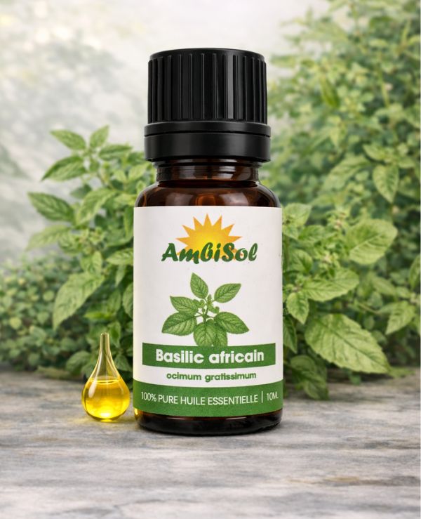 Basilic Africain – Huile Essentielle 100% Pure (10ml) | Digestion, Immunité & Anti-infectieuse | Ambisol