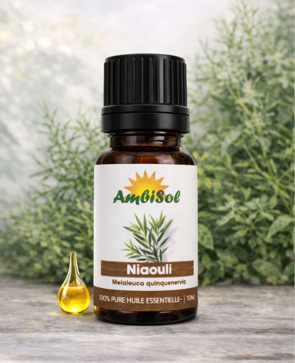 Niaouli – Huile Essentielle 100% Pure (10ml) | Respiration, Immunité & Anti-infectieuse | Ambisol