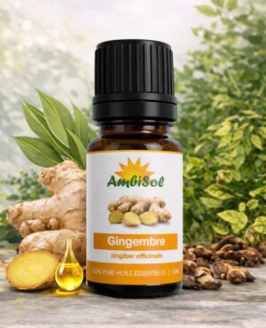 Huile Essentielle de Gingembre (Zingiber officinale)