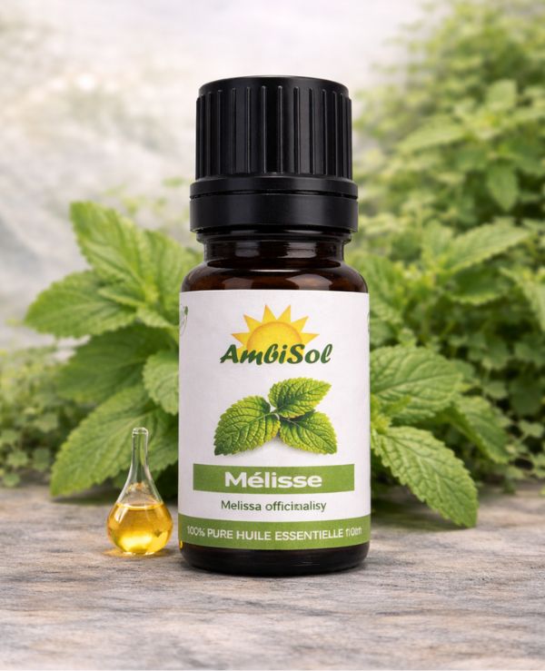 Mélisse – Huile Essentielle 100% Pure (10ml) | Anti-stress, Sommeil & Relaxation | Ambisol
