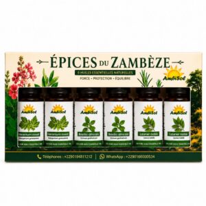 Pack d'Huiles Essentielles Épices du Zambèze – 6 Huiles Naturelles | AmbiSol