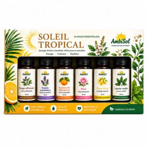 Kit d'Huiles Essentielles Soleil Tropical Coffret de 6 Huiles Essentielles Naturelles AmbiSol