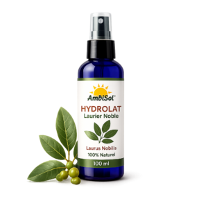Hydrolat de Laurier Noble 100 % Naturel – 100 ml | AmbiSol
